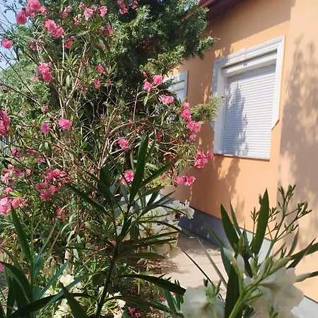 Abádi Karmazsin Ház Abádszalók